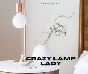 crazy lamp lady