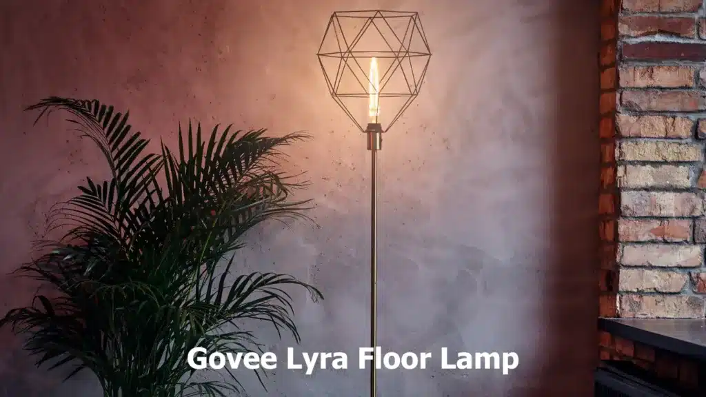 Govee Lyra Floor Lamp