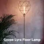 Govee Lyra Floor Lamp